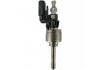 喷油嘴 Injection Valve:F01RB0MA29-02