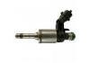喷油嘴 Injection Valve:0261500691